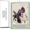 Birthday Greeting Cards w/Imprinted Envelopes